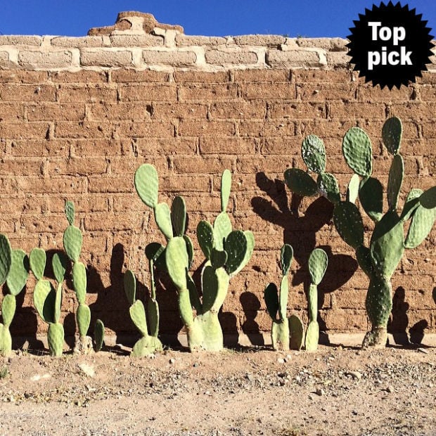 #ThisIsTucson_Feb Top Pick